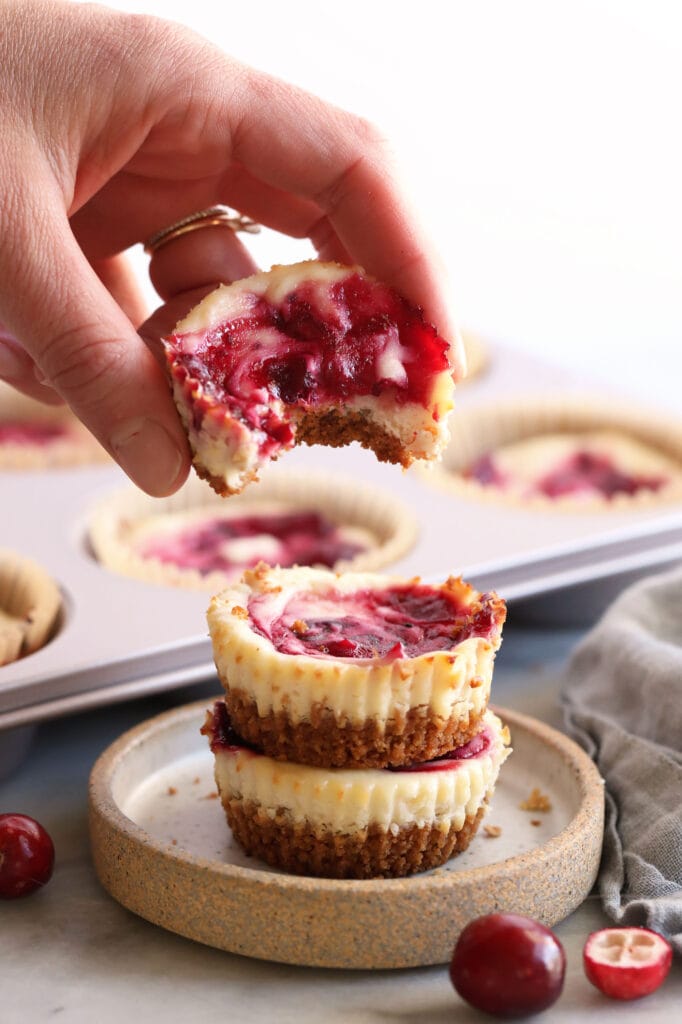A cranberry cheesecake bite in someones hand.