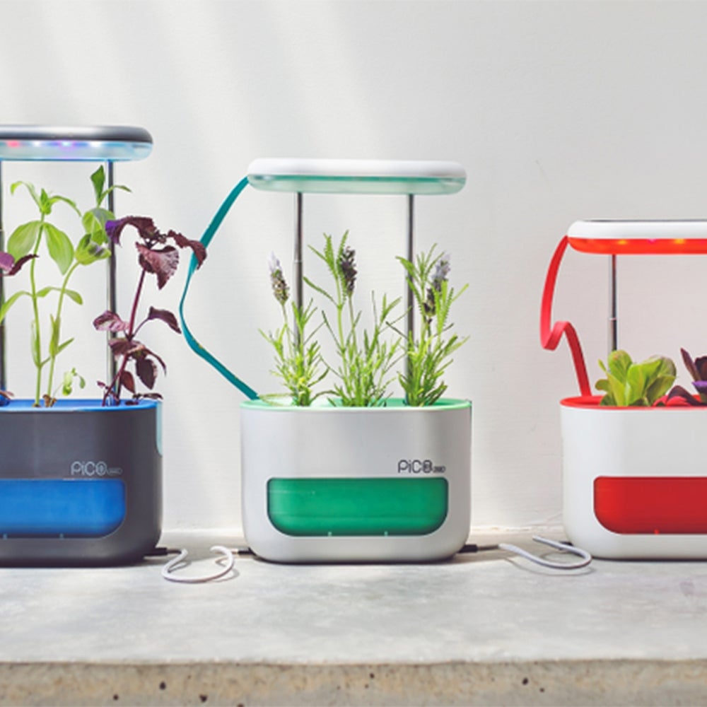 Pico Max Indoor Garden Kit ($69)
