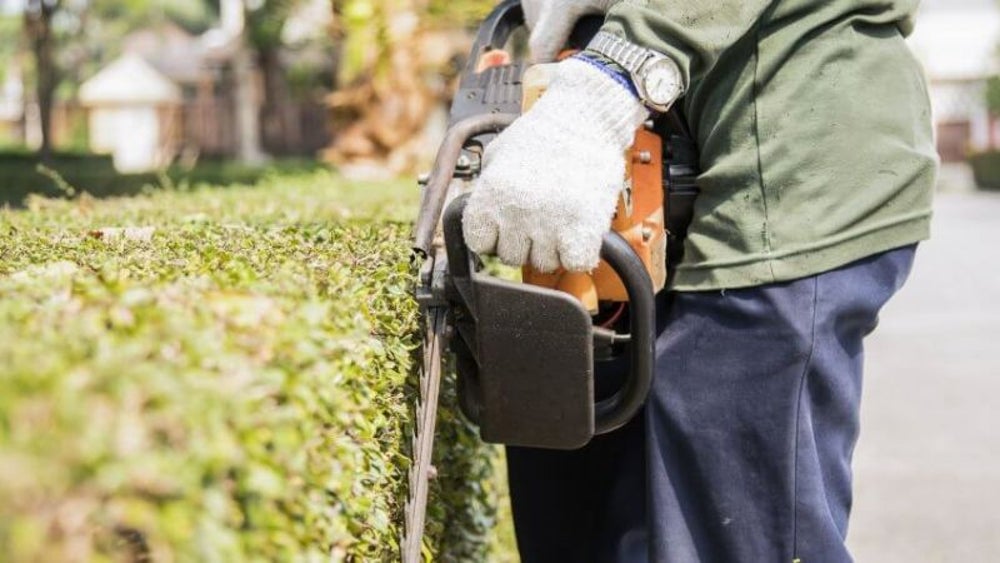 Lawn care specialist