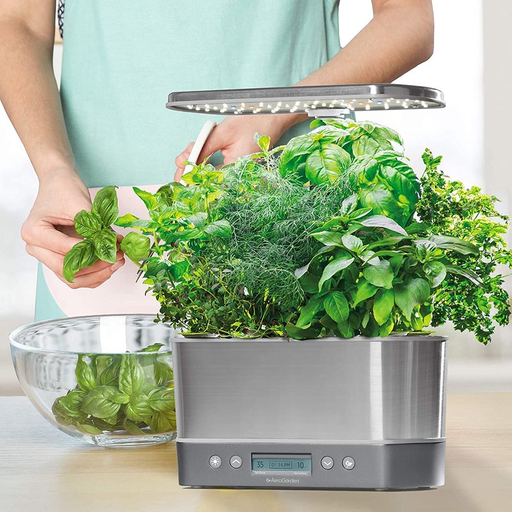 Best Hydroponic: AeroGarden Harvest Elite ($130)