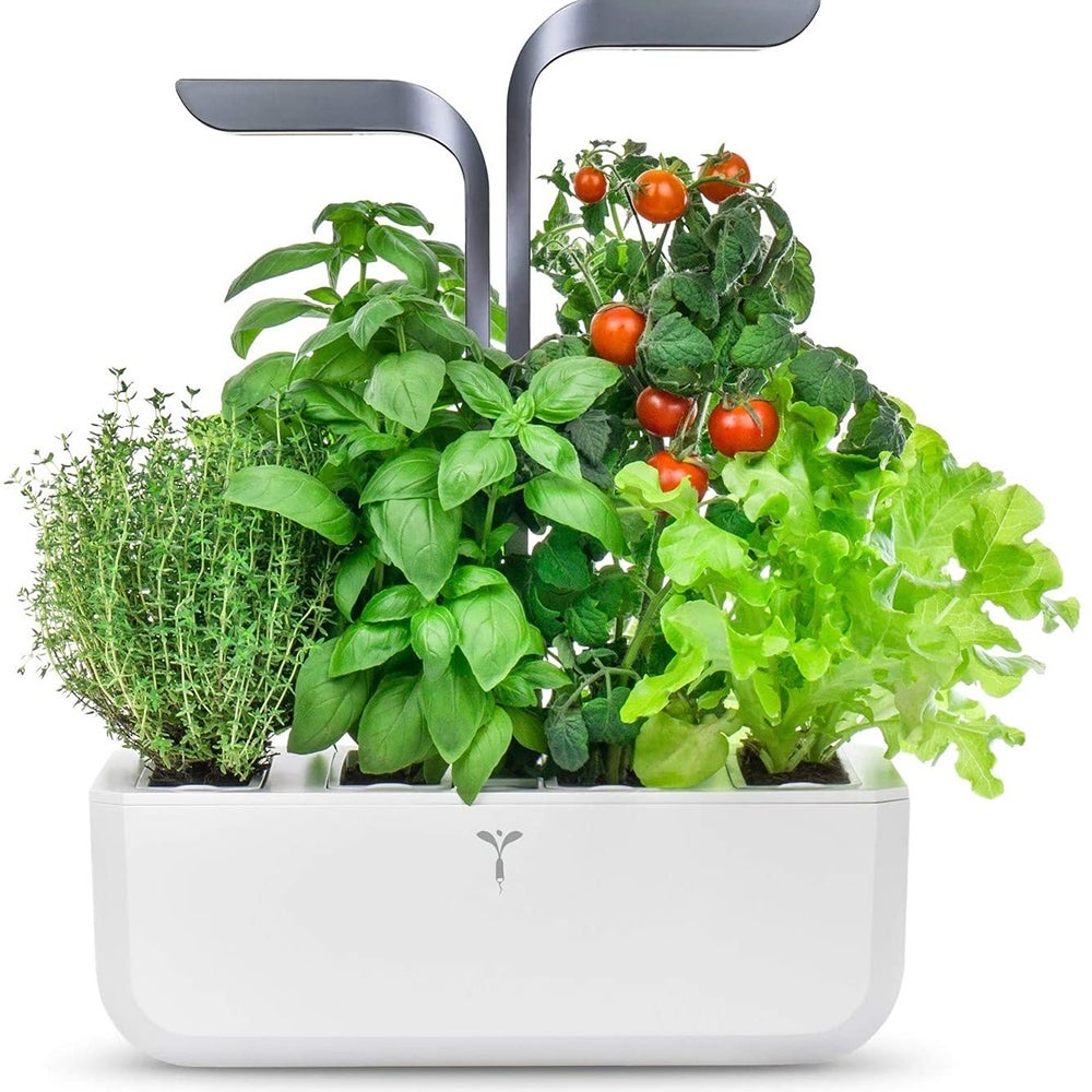 Best for Fruit and Vegetables: Veritable Connect ($330)