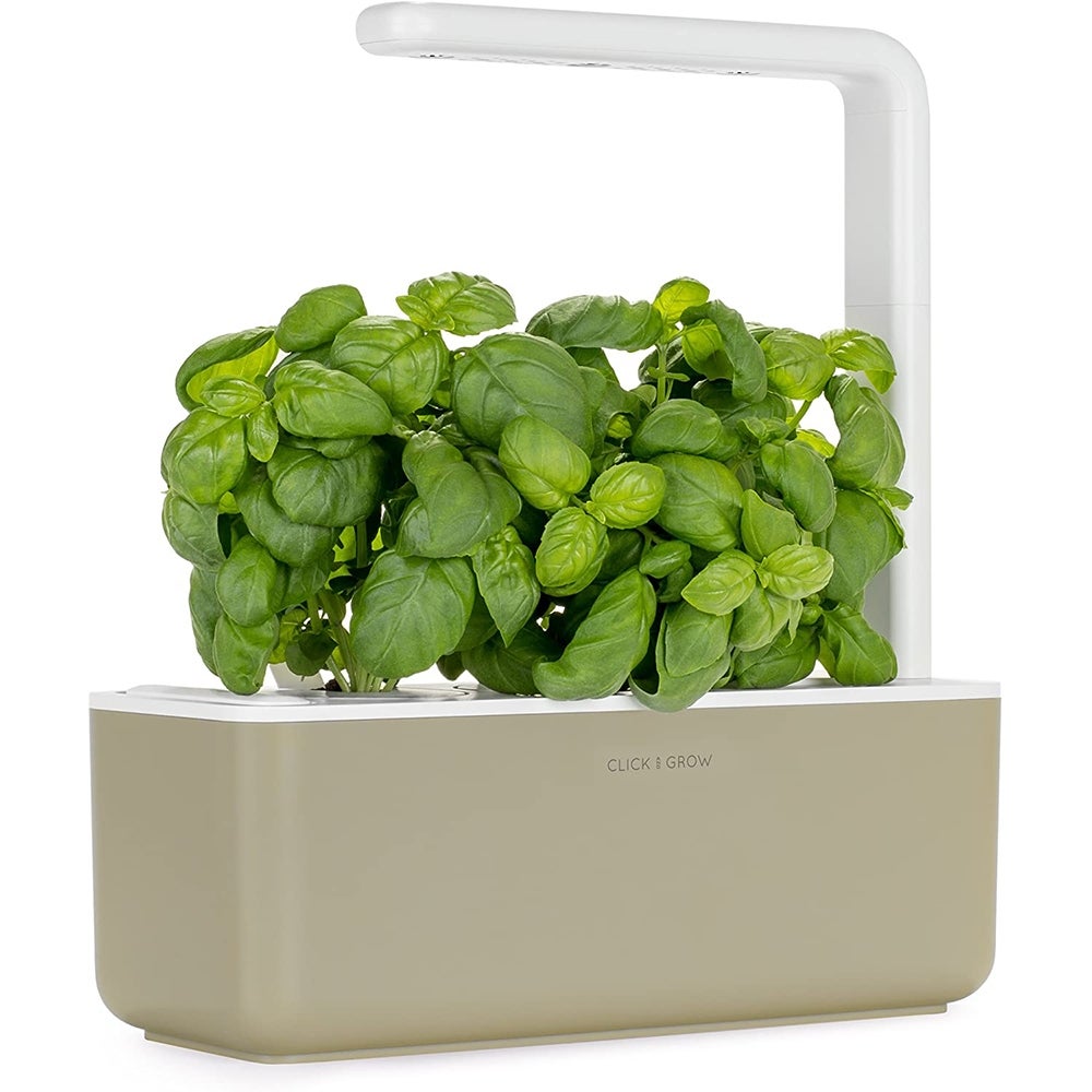 Best Starter Kit: Click and Grow Smart Garden 3 ($100)