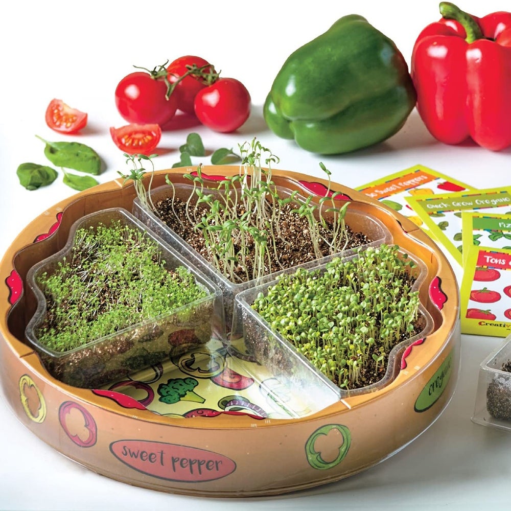 Best for Kids: Plant a Pizza Garden ($22)