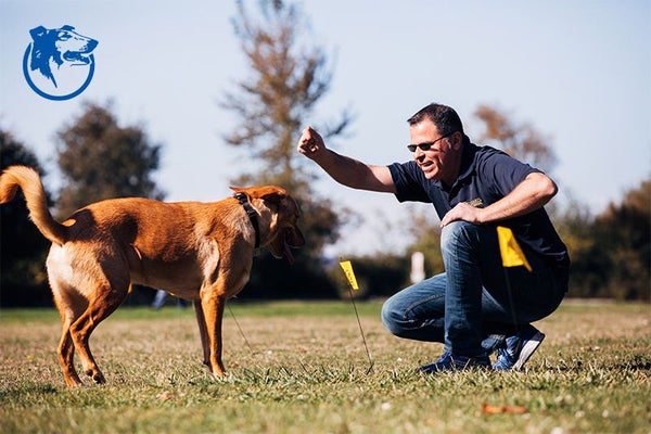 Man playing with a dog in a field.