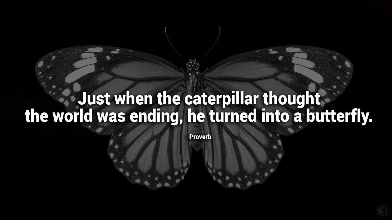 quotes for inspiration