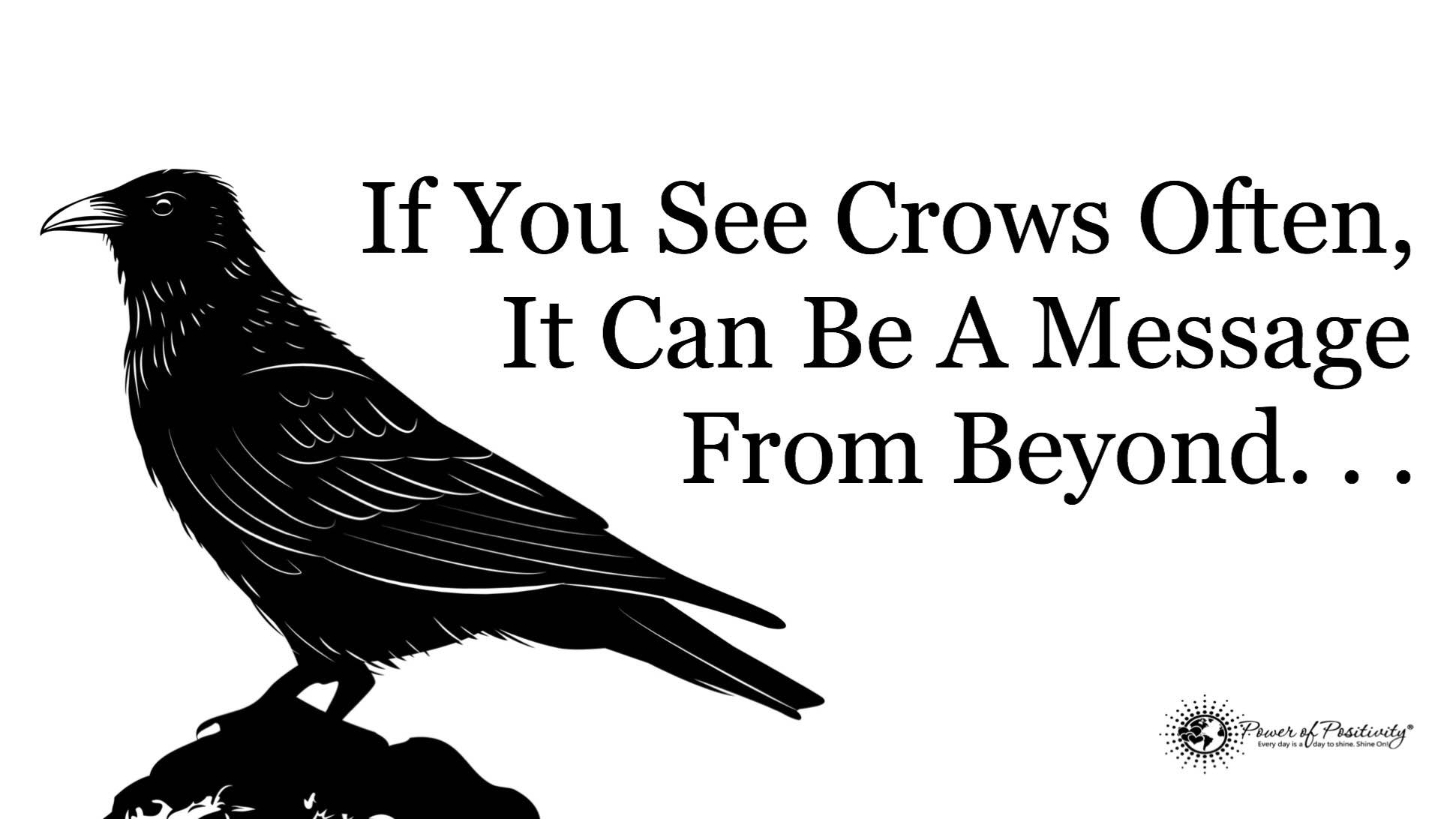 crows