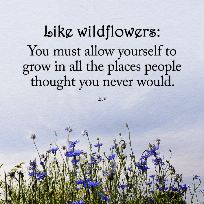 wildflowers growth
