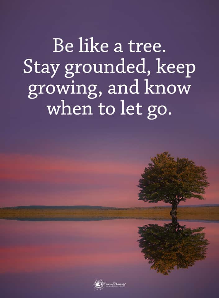 arthritis in fingers