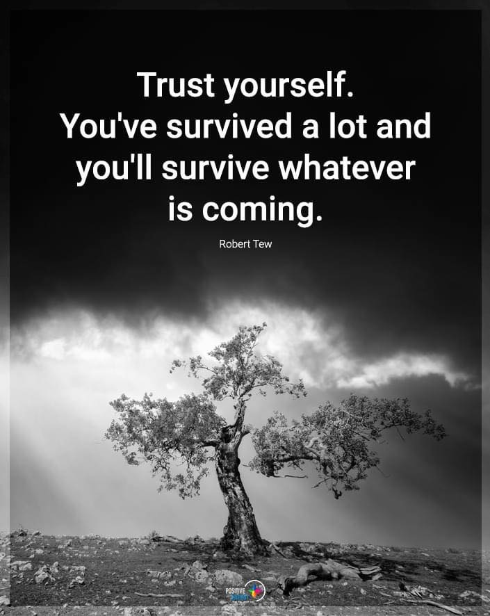 monkey branching monkey brancher