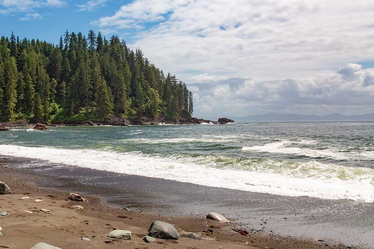 Beach with trees in the background