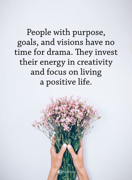 purpose goals vision quote