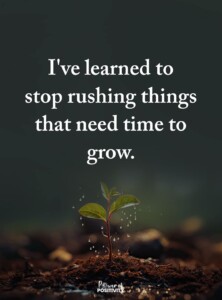 7 daily habits for sleep and longevity