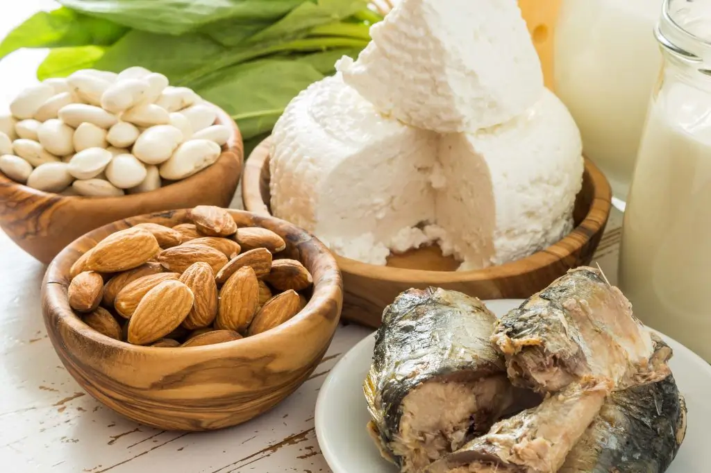 calcium foods weight loss