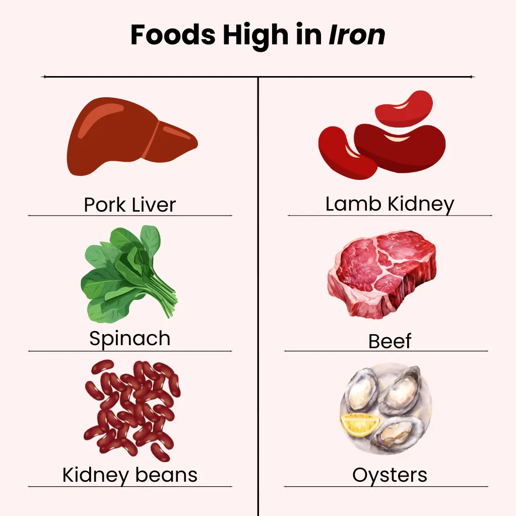 foods high in iron