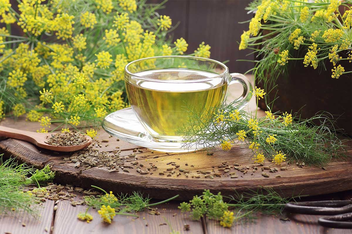 Fennel seeds for bloating