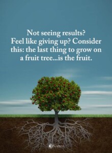 benefits of zinc for colds