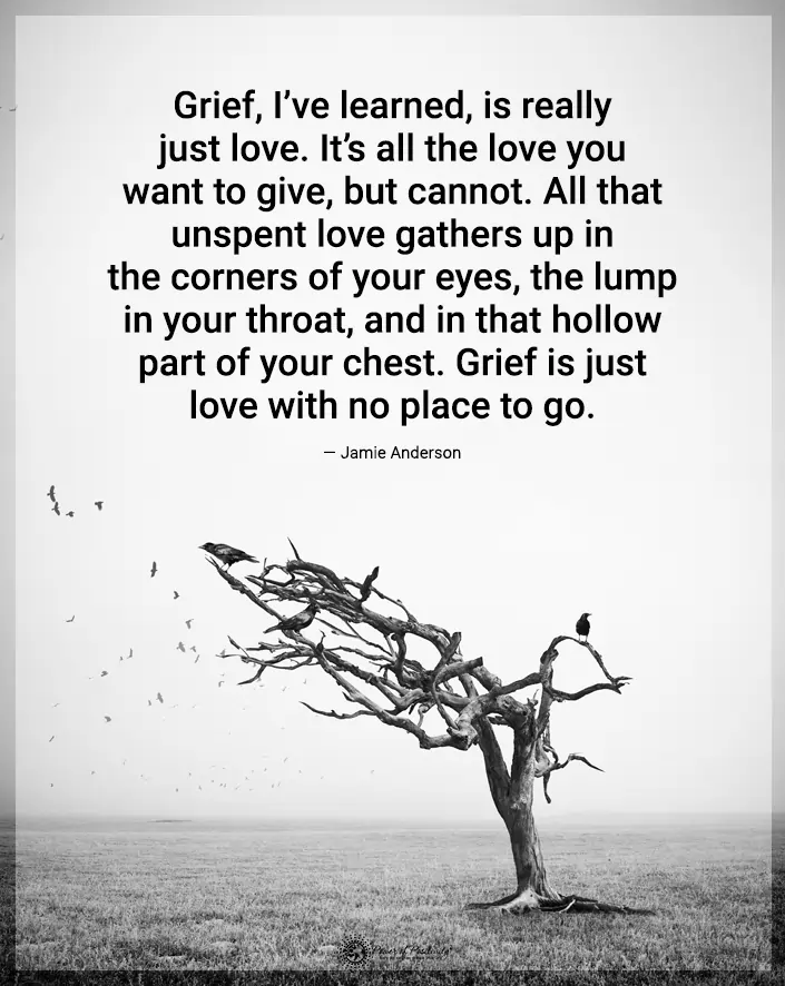 grief is love