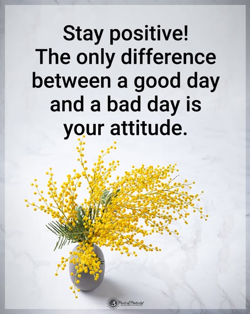 stay positive good day