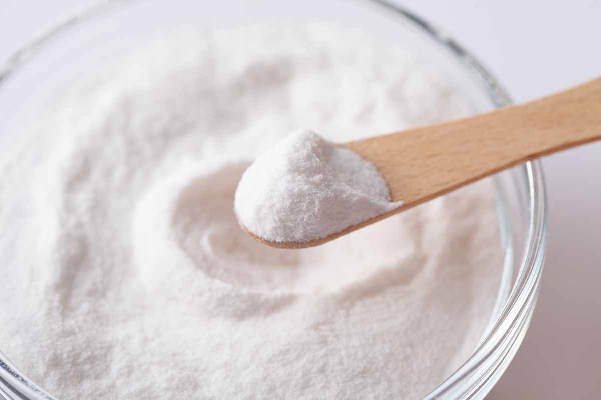 Food additives sodium benzoate