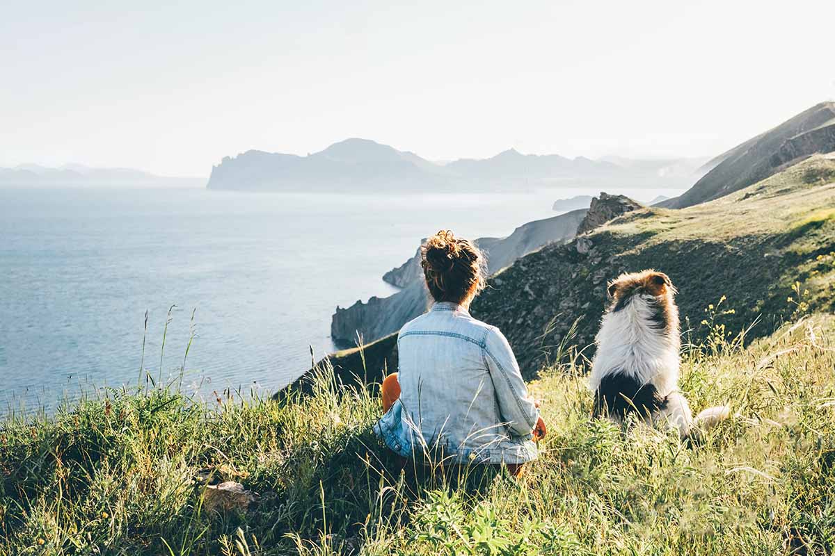 Digital wellness detox