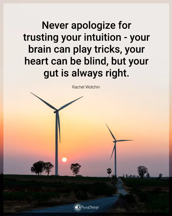 never apologize for trusting your intuition