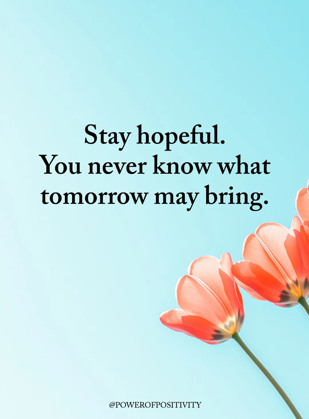 stay hopeful