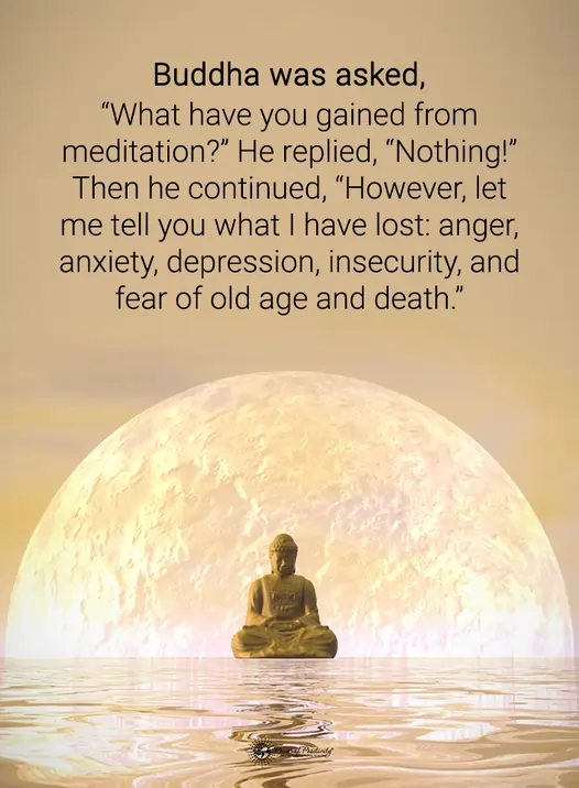 what have you gained from meditation