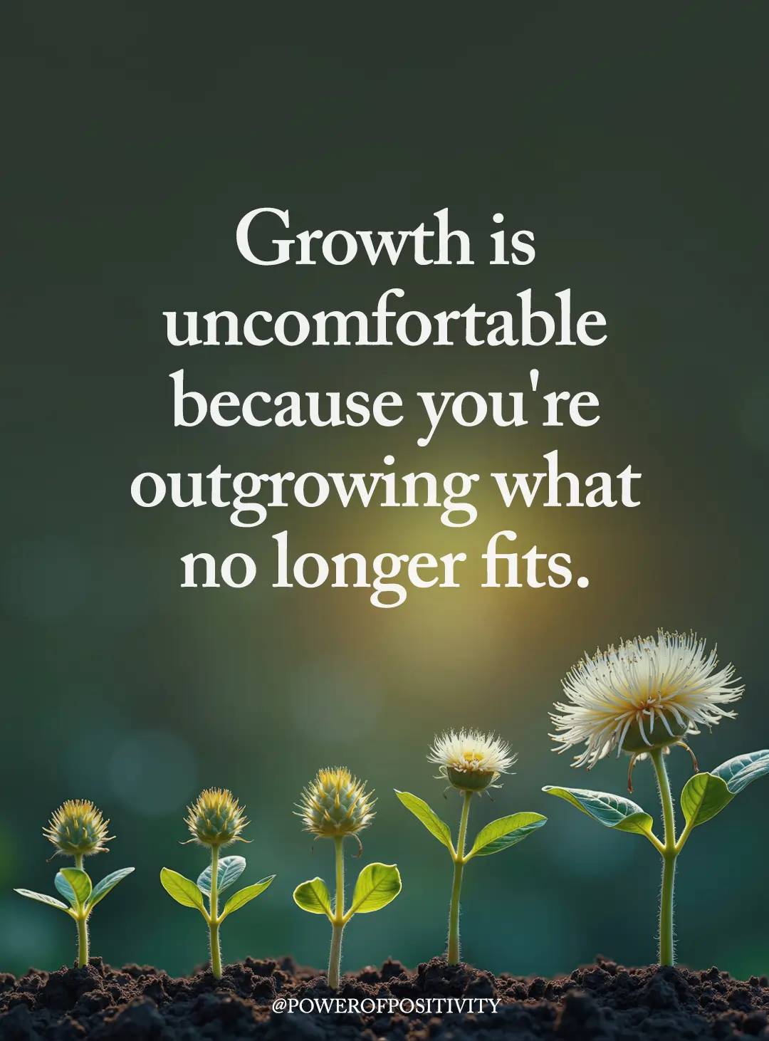 growth is uncomfortable